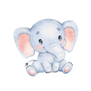 Daxiang Cheap VPN, 巨象便宜翻墙app