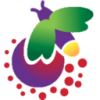 Firefly Cheap VPN